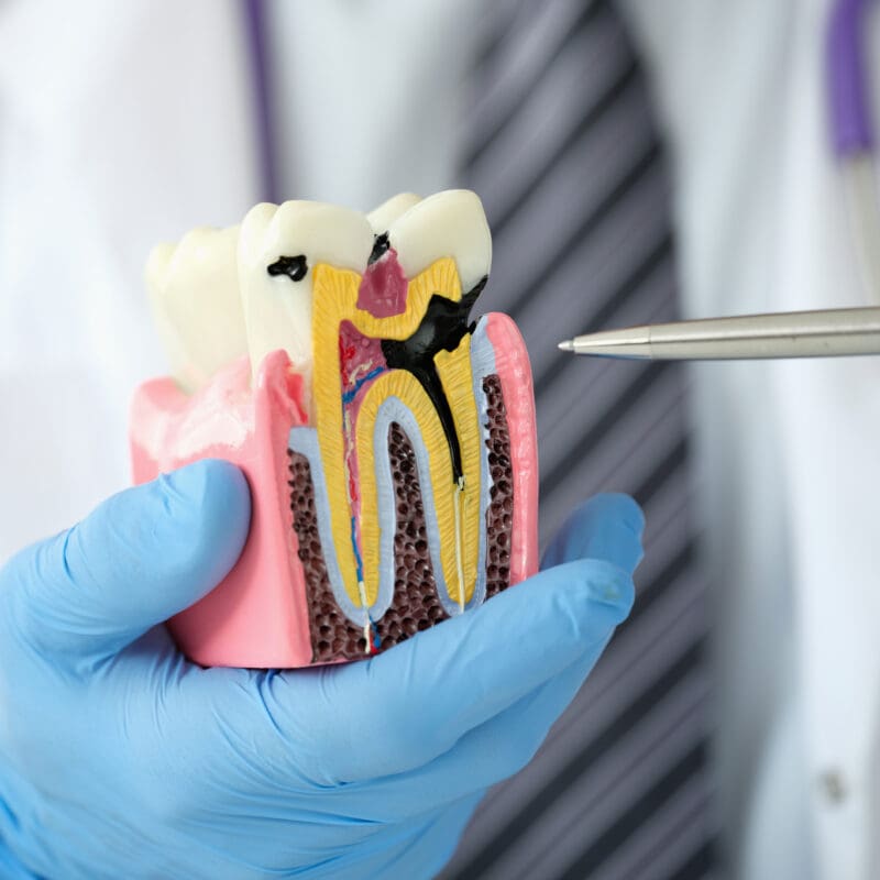 dentist CDA ID