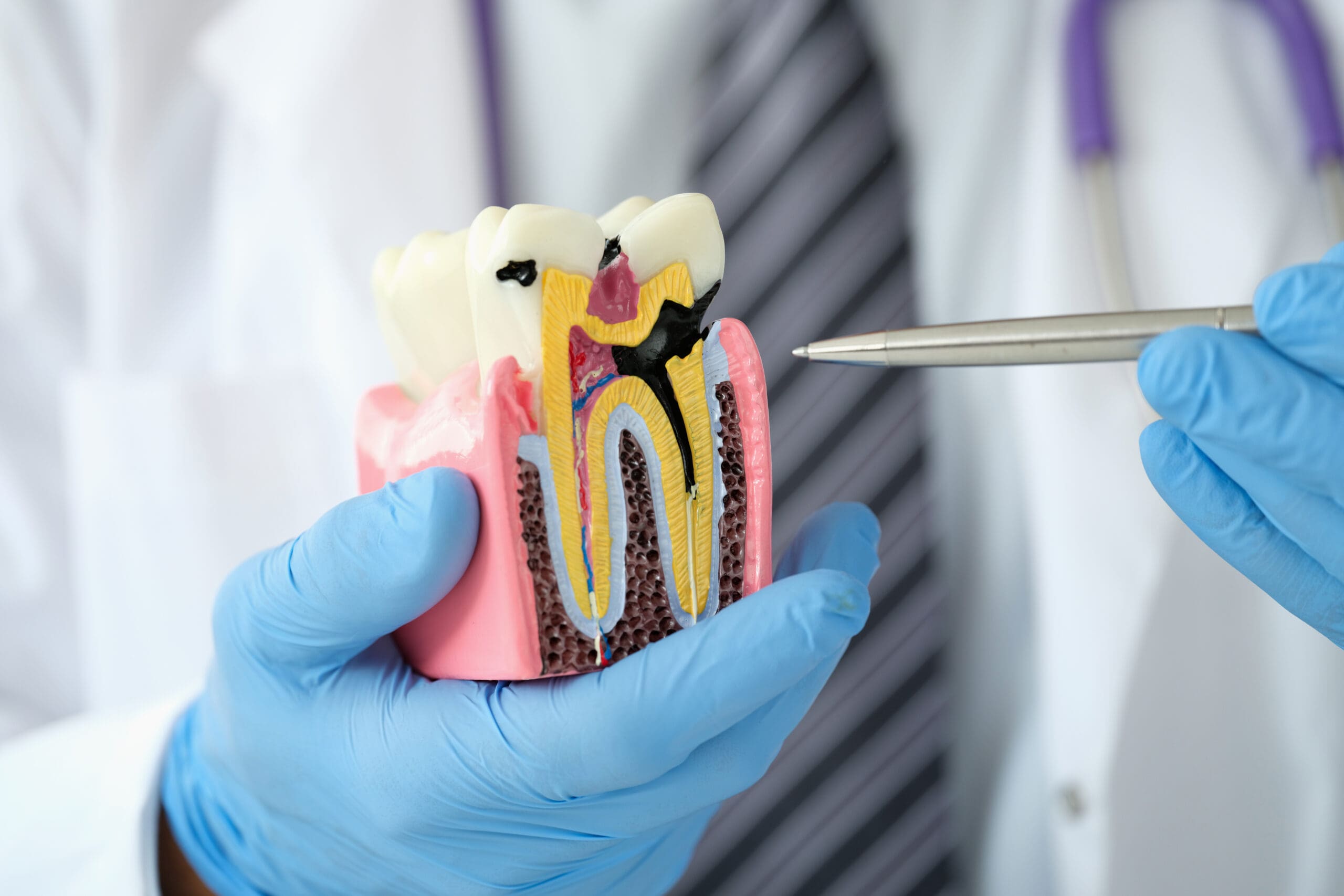 dentist CDA ID